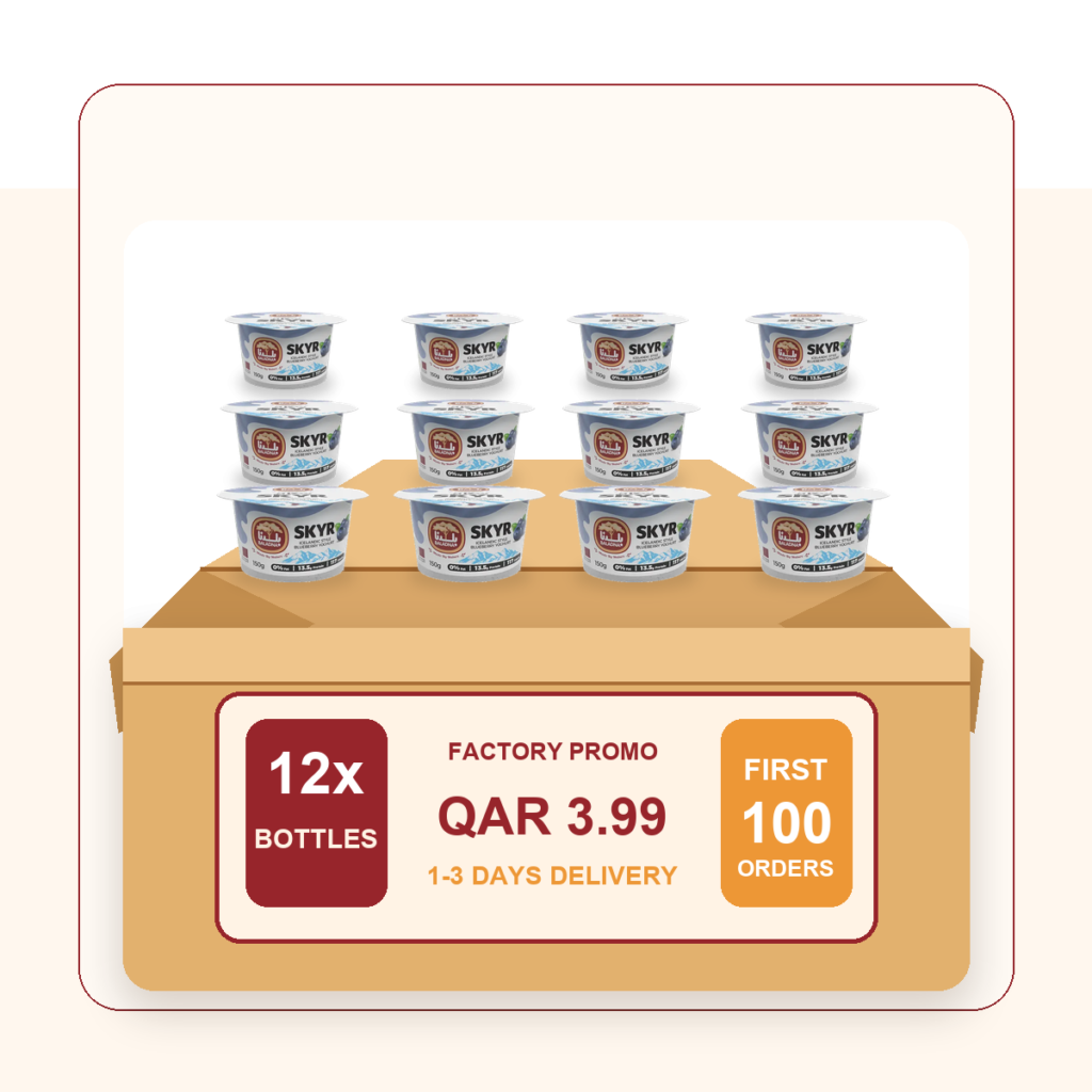 Blueberry Skyr Yoghurt